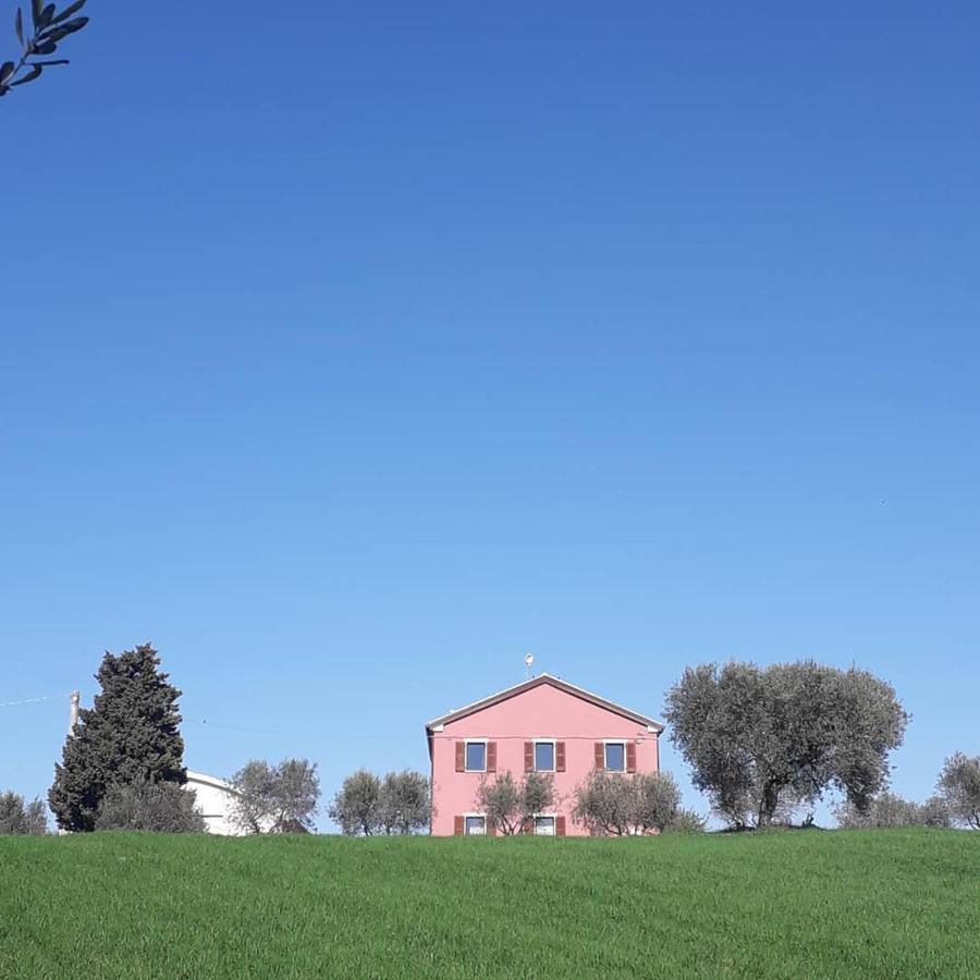 Casa Rosa Bed & Breakfast San Costanzo Exterior foto
