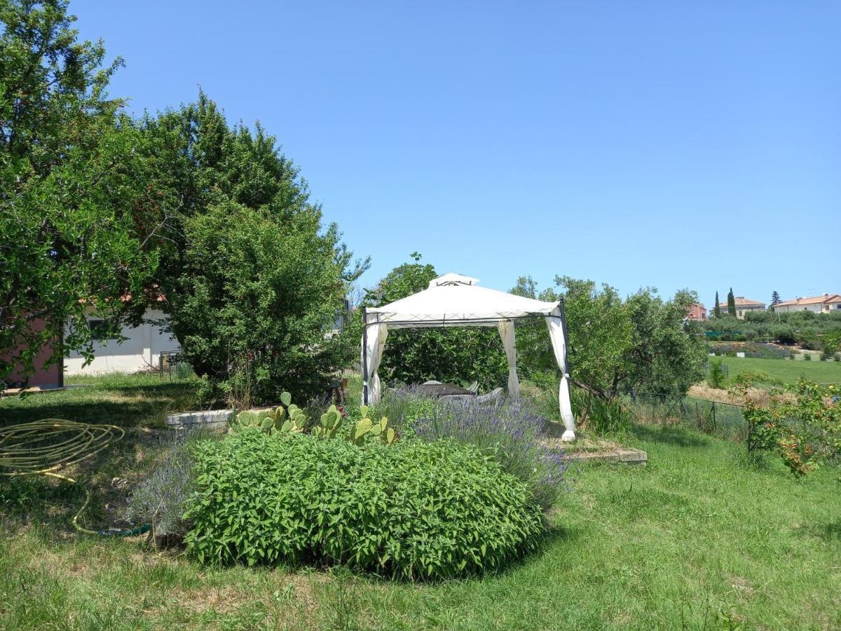 Casa Rosa Bed & Breakfast San Costanzo Exterior foto